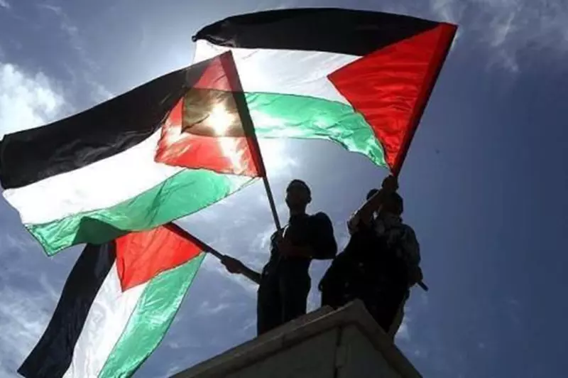 النرويج تدعم فلسطين: عائدات مباراة ضد الكيان الصهيوني لإنقاذ الأرواح في غزة